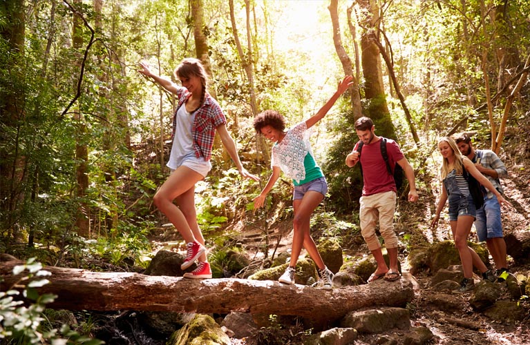 Travel Agency Charters