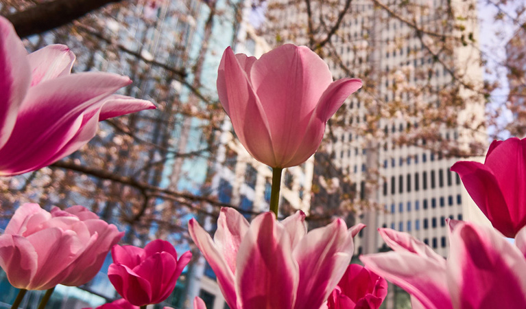 Jet Charters to Charlotte