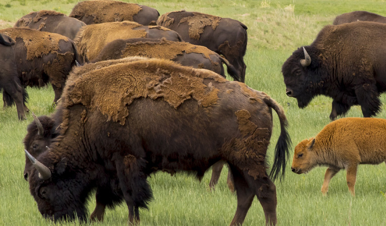 Private Jet to Denver