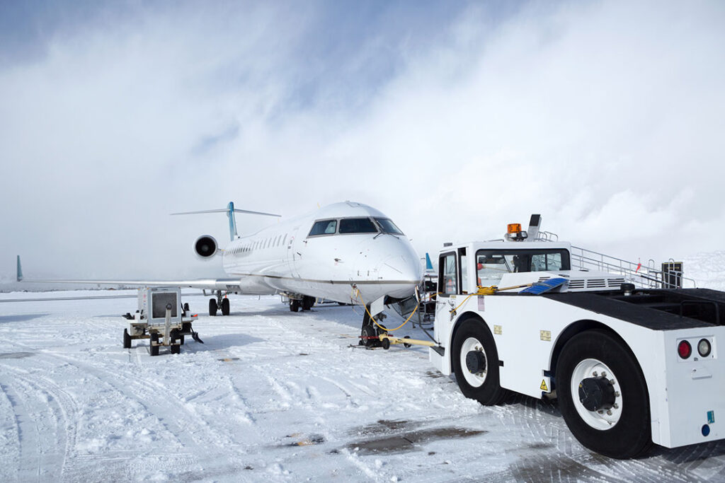 Private Charter to Denali National Park