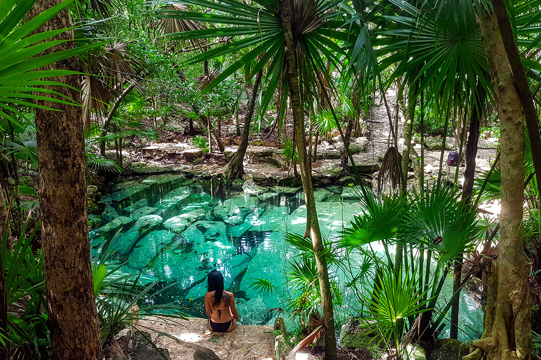 Green paradise cenote azul with palm trees and ruins at bottom of the water in the Riviera Maya, Yucatan Peninsula